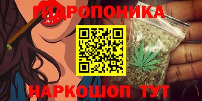 прущие крисы Краснодар