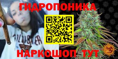 прущие крисы Краснодар