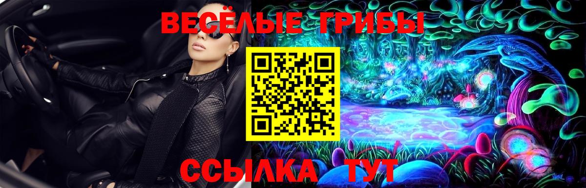 Псилоцибиновые грибы мицелий  Вход с VPN  Камышлов 